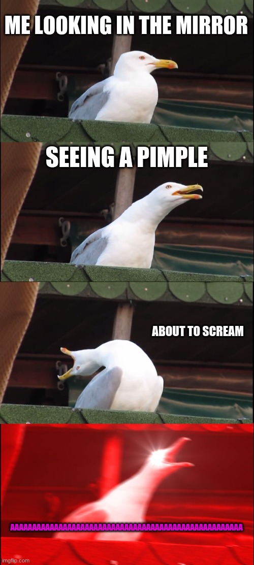 life | ME LOOKING IN THE MIRROR; SEEING A PIMPLE; ABOUT TO SCREAM; AAAAAAAAAAAAAAAAAAAAAAAAAAAAAAAAAAAAAAAAAAAAAAAAAAAAA | image tagged in memes,inhaling seagull | made w/ Imgflip meme maker