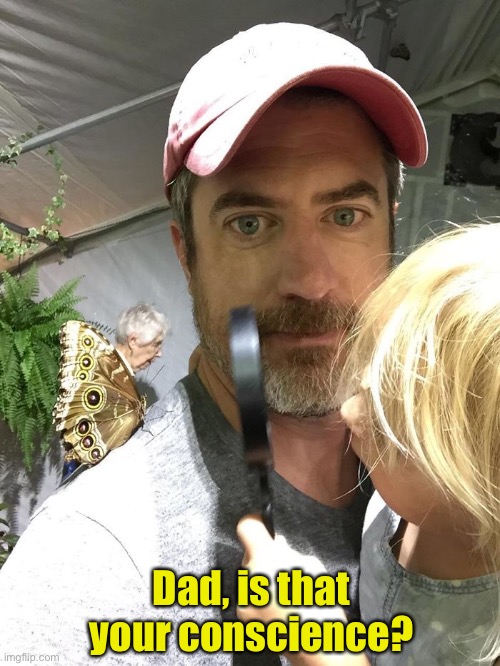 Perfectly Timed Photo | Dad, is that your conscience? | image tagged in funny memes,butterfly lands on shoulder,grandma in the background | made w/ Imgflip meme maker