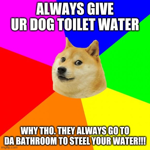 your dog water | ALWAYS GIVE UR DOG TOILET WATER; WHY THO. THEY ALWAYS GO TO DA BATHROOM TO STEEL YOUR WATER!!! | image tagged in memes,advice doge | made w/ Imgflip meme maker
