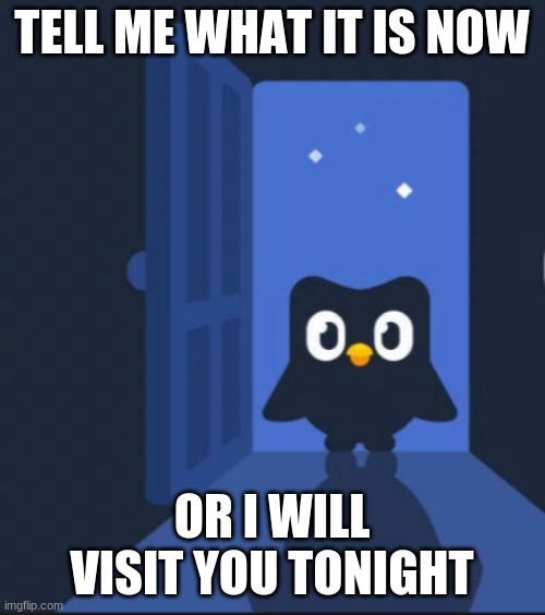 Duolingo bird | TELL ME WHAT IT IS NOW OR I WILL VISIT YOU TONIGHT | image tagged in duolingo bird | made w/ Imgflip meme maker