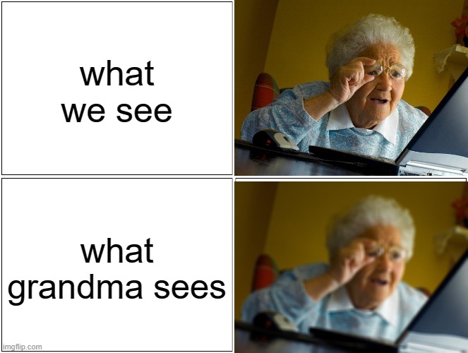 Blank Comic Panel 2x2 | what we see; what grandma sees | image tagged in memes,blank comic panel 2x2 | made w/ Imgflip meme maker