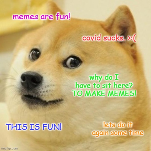 nice doge | memes are fun! covid sucks. >:(; why do I have to sit here? TO MAKE MEMES! lets do it again some time; THIS IS FUN! | image tagged in memes,doge | made w/ Imgflip meme maker