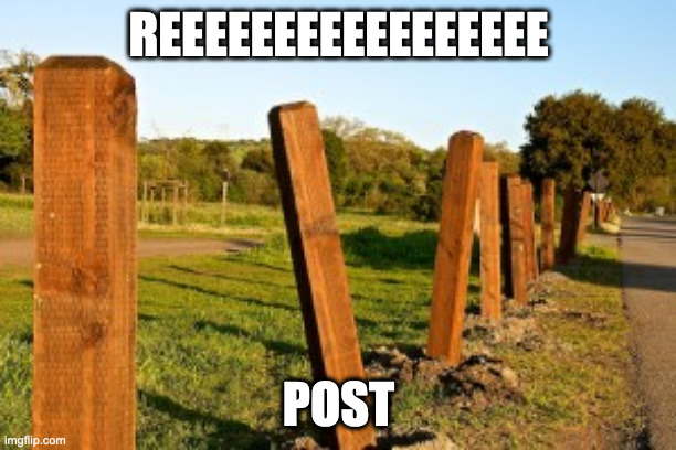 Repost | REEEEEEEEEEEEEEEEE POST | image tagged in repost | made w/ Imgflip meme maker