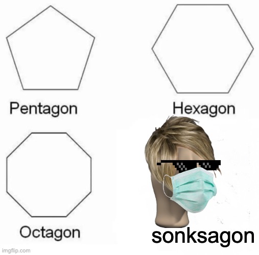 Pentagon Hexagon Octagon | sonksagon | image tagged in memes,pentagon hexagon octagon | made w/ Imgflip meme maker