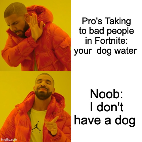 Drake Hotline Bling Meme | Pro's Taking to bad people in Fortnite: your  dog water; Noob: I don't have a dog | image tagged in memes,drake hotline bling | made w/ Imgflip meme maker
