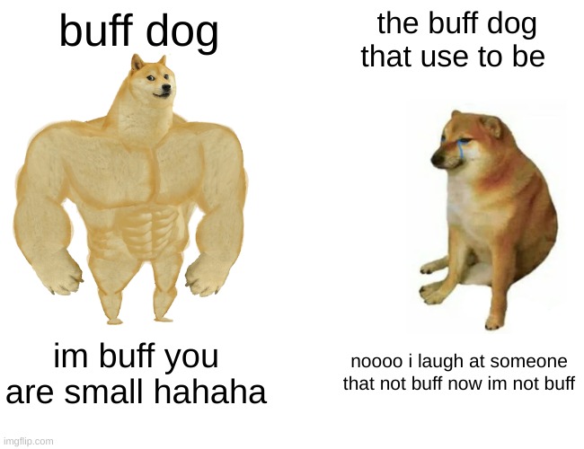 Buff Doge vs. Cheems | buff dog; the buff dog that use to be; im buff you are small hahaha; noooo i laugh at someone that not buff now im not buff | image tagged in memes,buff doge vs cheems | made w/ Imgflip meme maker