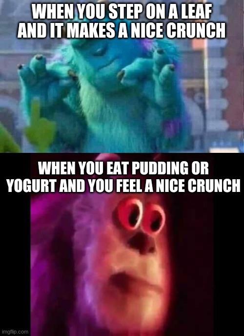 we have all been there | WHEN YOU STEP ON A LEAF AND IT MAKES A NICE CRUNCH; WHEN YOU EAT PUDDING OR YOGURT AND YOU FEEL A NICE CRUNCH | image tagged in sully shutdown | made w/ Imgflip meme maker