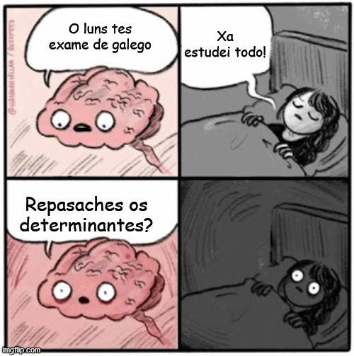 exame galego | Xa estudei todo! O luns tes
exame de galego; Repasaches os determinantes? | image tagged in brain before sleep | made w/ Imgflip meme maker