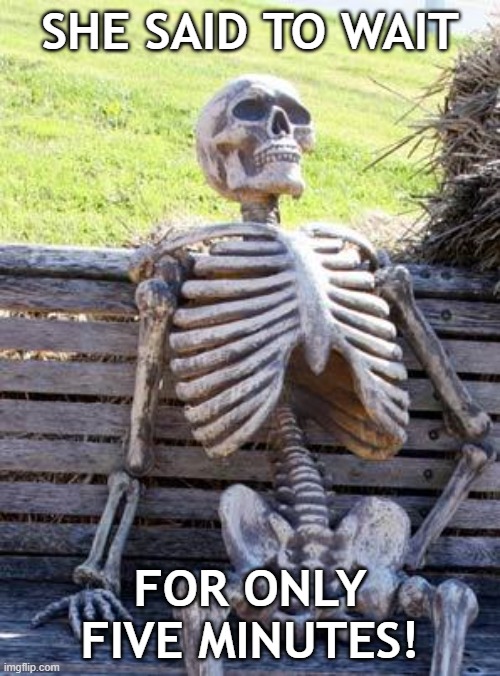 Why does my Girl always do this? | SHE SAID TO WAIT; FOR ONLY FIVE MINUTES! | image tagged in memes,waiting skeleton,but why tho,but why,you dont say | made w/ Imgflip meme maker