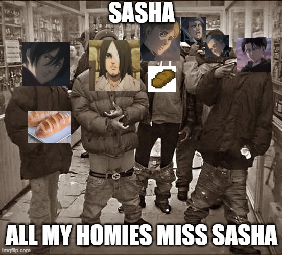 RIP Sasha | SASHA; ALL MY HOMIES MISS SASHA | image tagged in all my homies hate,attack on titan | made w/ Imgflip meme maker