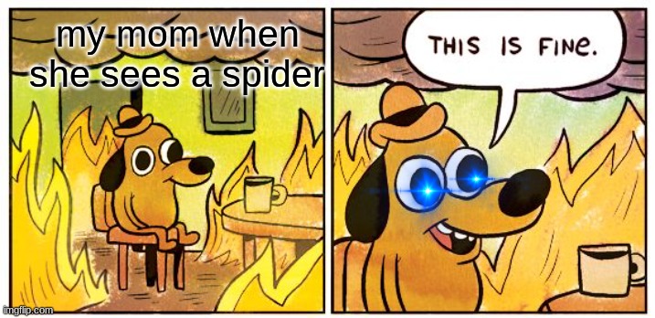 my mom and spidera | my mom when she sees a spider | image tagged in memes,this is fine | made w/ Imgflip meme maker