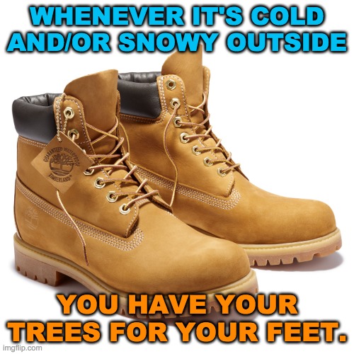 Timberland 6-Inch Premium Waterproof Boots | WHENEVER IT'S COLD AND/OR SNOWY OUTSIDE; YOU HAVE YOUR TREES FOR YOUR FEET. | image tagged in timberland,boots,cold weather,snow,memes | made w/ Imgflip meme maker