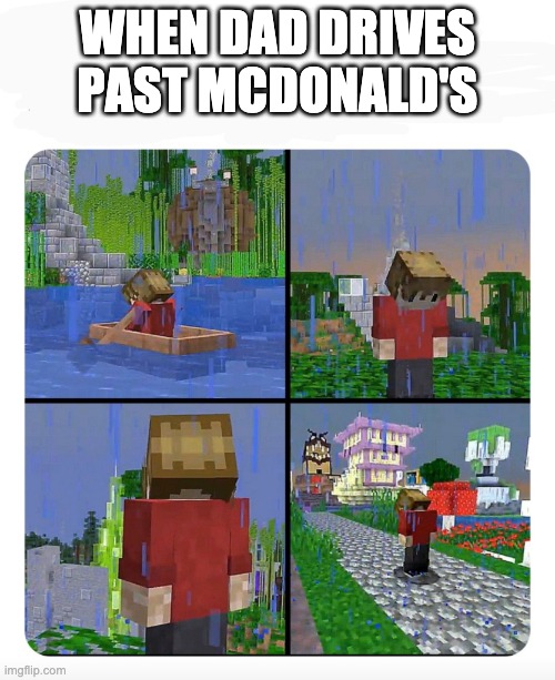 Sad Grian | WHEN DAD DRIVES PAST MCDONALD'S | image tagged in sad grian | made w/ Imgflip meme maker