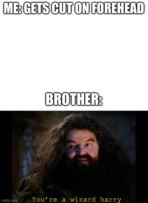 I’m a wizard *god powers* | ME: GETS CUT ON FOREHEAD; BROTHER:; You’re a wizard harry | image tagged in blank white template,hagrid yer a wizard,harry potter,cut | made w/ Imgflip meme maker