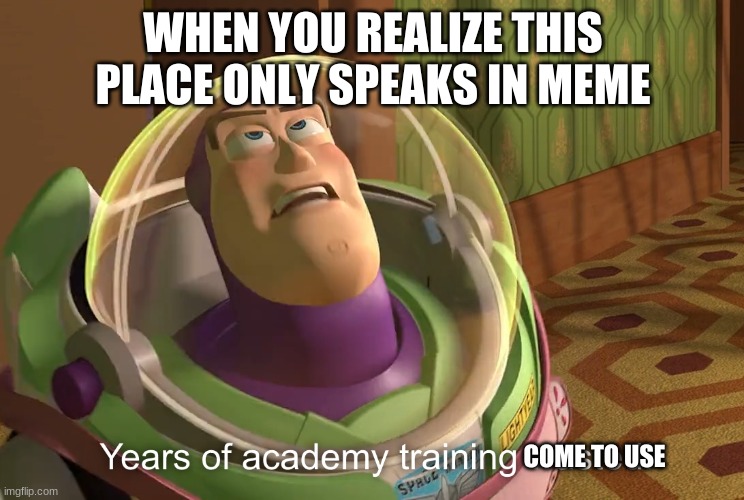 So this exists, neat |  WHEN YOU REALIZE THIS PLACE ONLY SPEAKS IN MEME; COME TO USE | image tagged in years of academy training wasted | made w/ Imgflip meme maker