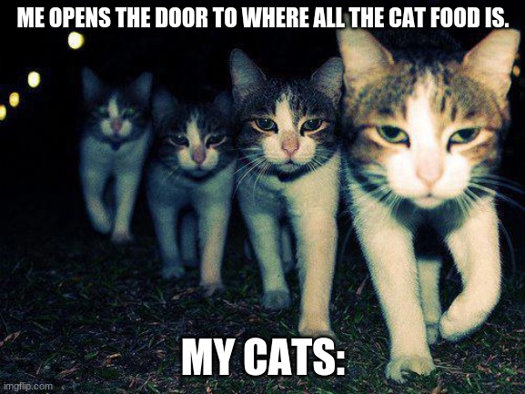 my cats | ME OPENS THE DOOR TO WHERE ALL THE CAT FOOD IS. MY CATS: | image tagged in memes,wrong neighboorhood cats | made w/ Imgflip meme maker