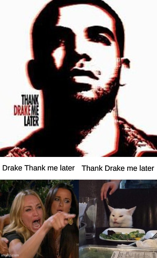Drake Thank me later; Thank Drake me later | image tagged in drake thank me later,memes,woman yelling at cat | made w/ Imgflip meme maker