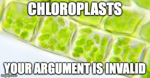 CHLOROPLASTS YOUR ARGUMENT IS INVALID | image tagged in chloroplasts | made w/ Imgflip meme maker