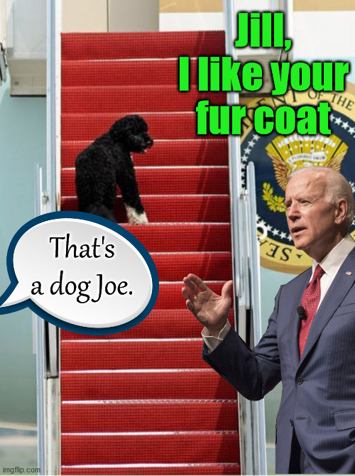 Jill, I like your fur coat; That's a dog Joe. | image tagged in conservatives | made w/ Imgflip meme maker