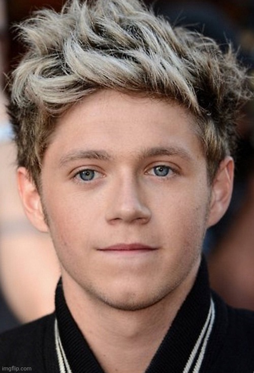 Have some Niall pics bitches | made w/ Imgflip meme maker