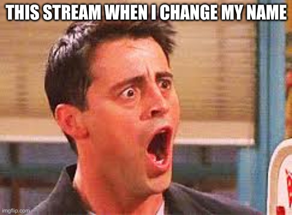 To honor my rank of Commander of District C, I changed my name. | THIS STREAM WHEN I CHANGE MY NAME | image tagged in shocked face | made w/ Imgflip meme maker
