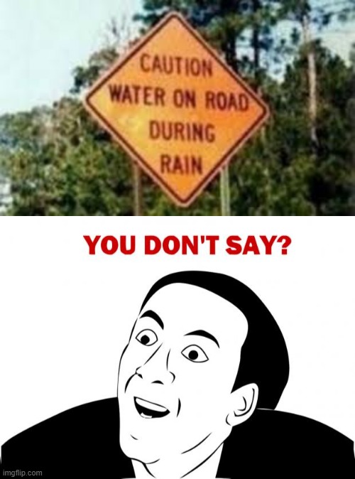 Wow i totally dont kno that rain is water | image tagged in memes,you don't say | made w/ Imgflip meme maker
