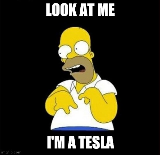 homer | LOOK AT ME; I'M A TESLA | image tagged in homer | made w/ Imgflip meme maker