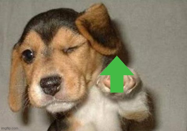 puppy | image tagged in puppy | made w/ Imgflip meme maker