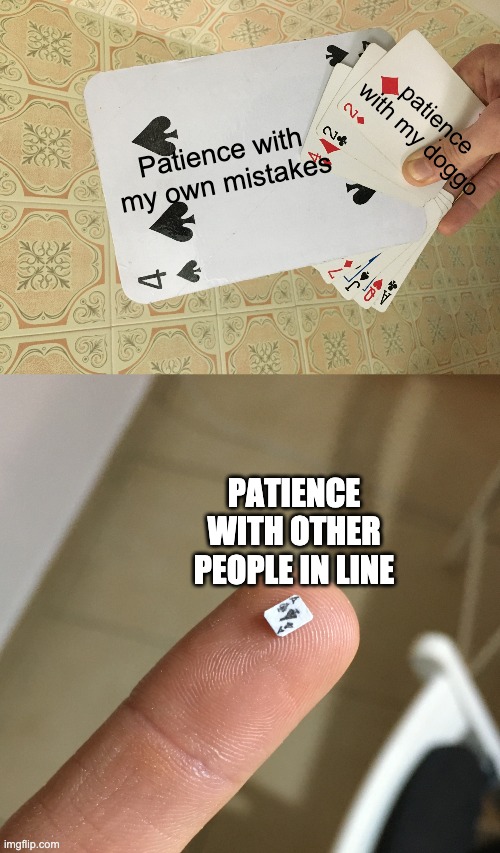 patience with my doggo; Patience with my own mistakes; PATIENCE WITH OTHER PEOPLE IN LINE | image tagged in over-sized card,tiny card | made w/ Imgflip meme maker