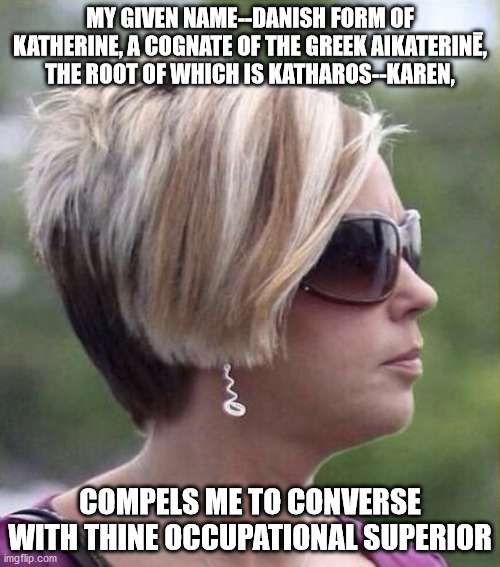 Shawty Got That Reverse-Curtsy Cut | MY GIVEN NAME--DANISH FORM OF KATHERINE, A COGNATE OF THE GREEK AIKATERINĒ, THE ROOT OF WHICH IS KATHAROS--KAREN, COMPELS ME TO CONVERSE WITH THINE OCCUPATIONAL SUPERIOR | image tagged in let me speak to your manager haircut,funny,funny memes | made w/ Imgflip meme maker