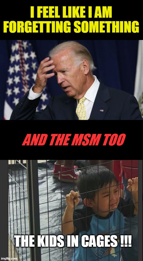 Like anyone really cares. | I FEEL LIKE I AM FORGETTING SOMETHING; AND THE MSM TOO; THE KIDS IN CAGES !!! | image tagged in joe biden worries,kids in cages,hypocrisy | made w/ Imgflip meme maker