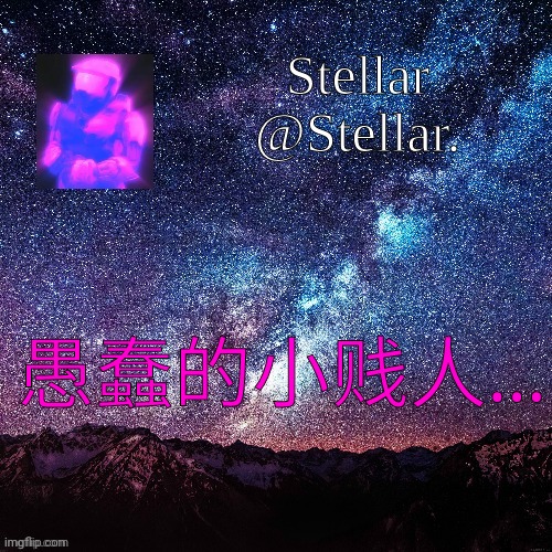 anyone wanna guess what this means? | 愚蠢的小贱人... | image tagged in stellar | made w/ Imgflip meme maker