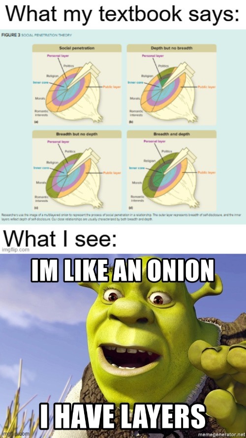 Shrek teaches my communication class | image tagged in shrek,onion,funny,meme,layers | made w/ Imgflip meme maker