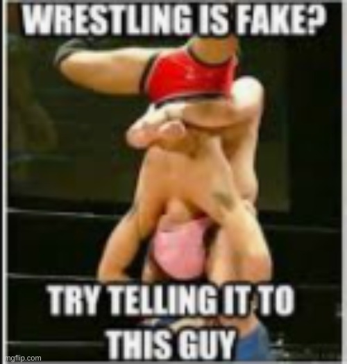 Wow | image tagged in wwe,is fake | made w/ Imgflip meme maker