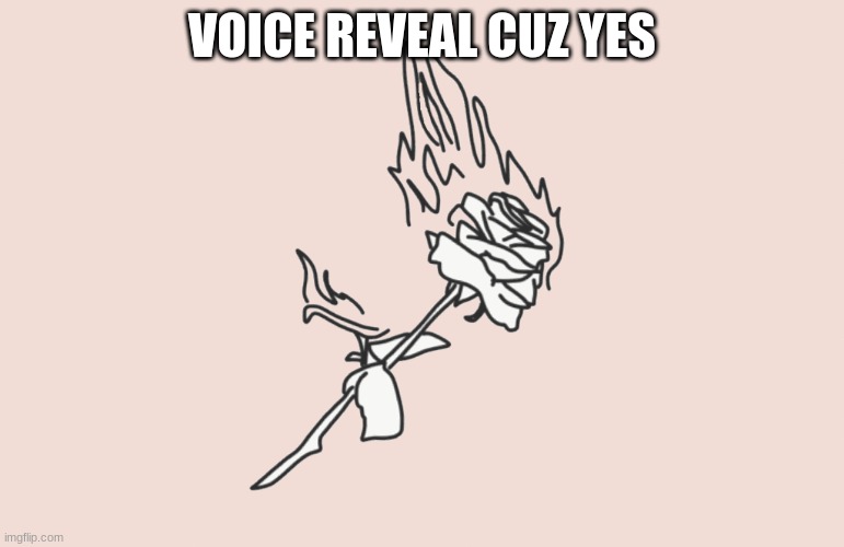 burning rose | VOICE REVEAL CUZ YES | image tagged in burning rose | made w/ Imgflip meme maker