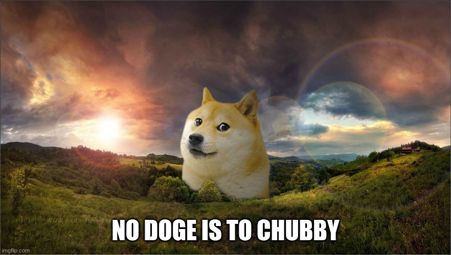 NO DOGE IS TO CHUBBY | made w/ Imgflip meme maker