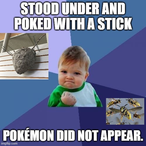 AHHHHHH! NOT POKEMON!!!! RUNNNNNNNNNNNNN!! | STOOD UNDER AND POKED WITH A STICK; POKÉMON DID NOT APPEAR. | image tagged in memes,success kid | made w/ Imgflip meme maker