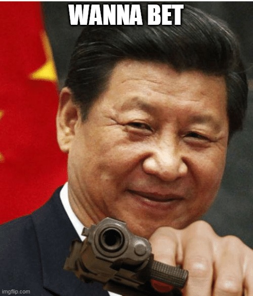 Xi Jinping | WANNA BET | image tagged in xi jinping | made w/ Imgflip meme maker