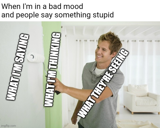 Some stupid shit | When I'm in a bad mood and people say something stupid; WHAT I'M SAYING; WHAT I'M THINKING; WHAT THEY'RE SEEING | image tagged in painting over paint,memes,funny,stupid people | made w/ Imgflip meme maker