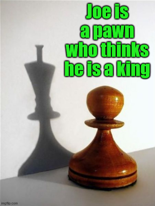 Joe is a pawn who thinks he is a king | image tagged in political meme | made w/ Imgflip meme maker