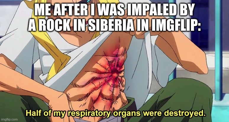 Help.....please...... |  ME AFTER I WAS IMPALED BY A ROCK IN SIBERIA IN IMGFLIP: | image tagged in half of my respiratory organs were destroyed | made w/ Imgflip meme maker