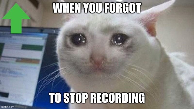 when you forgot to stop recording | WHEN YOU FORGOT; TO STOP RECORDING | image tagged in crying cat | made w/ Imgflip meme maker