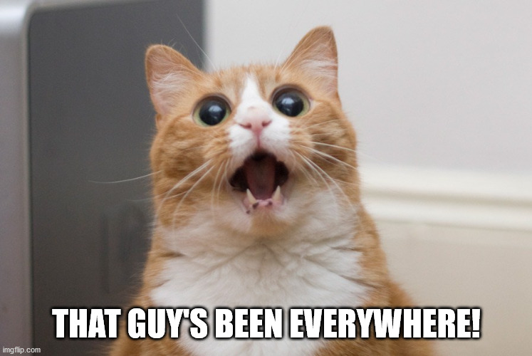 Amazed cat | THAT GUY'S BEEN EVERYWHERE! | image tagged in amazed cat | made w/ Imgflip meme maker