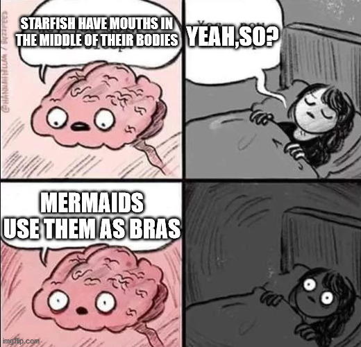 think about it... | STARFISH HAVE MOUTHS IN THE MIDDLE OF THEIR BODIES; YEAH,SO? MERMAIDS USE THEM AS BRAS | image tagged in waking up brain,brain,starfish,hey you going to sleep,memes | made w/ Imgflip meme maker