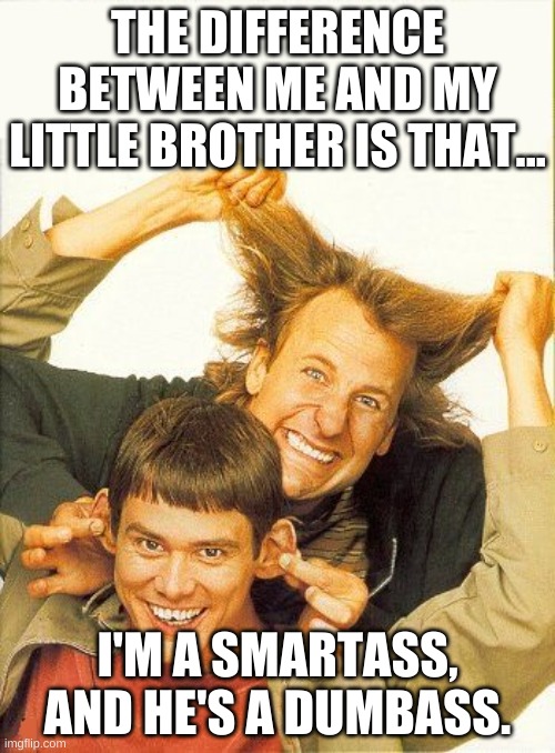 Duhmb and Duhmber | THE DIFFERENCE BETWEEN ME AND MY LITTLE BROTHER IS THAT... I'M A SMARTASS, AND HE'S A DUMBASS. | image tagged in dumb and dumber | made w/ Imgflip meme maker
