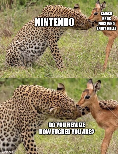 it only effected twitter | SMASH BROS FANS WHO ENJOY MELEE; NINTENDO; DO YOU REALIZE HOW FUCKED YOU ARE? | image tagged in original cheetah petting deer meme,nintendo,super smash bros | made w/ Imgflip meme maker