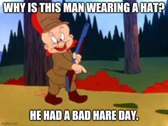 Elmer Fudd | WHY IS THIS MAN WEARING A HAT? HE HAD A BAD HARE DAY. | image tagged in jokes | made w/ Imgflip meme maker