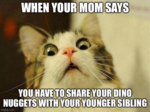 Scared Cat | WHEN YOUR MOM SAYS; YOU HAVE TO SHARE YOUR DINO NUGGETS WITH YOUR YOUNGER SIBLING | image tagged in memes,scared cat | made w/ Imgflip meme maker