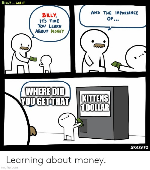 Billy Learning About Money | WHERE DID YOU GET THAT; KITTENS
1 DOLLAR | image tagged in billy learning about money | made w/ Imgflip meme maker