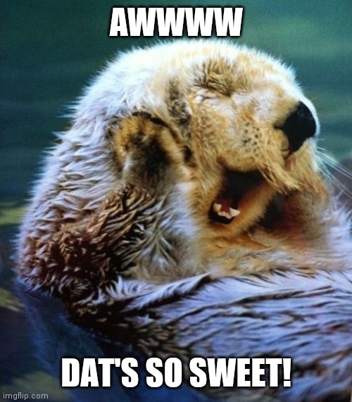 Awwww Dat's So Sweet! | AWWWW; DAT'S SO SWEET! | image tagged in blushing otter | made w/ Imgflip meme maker